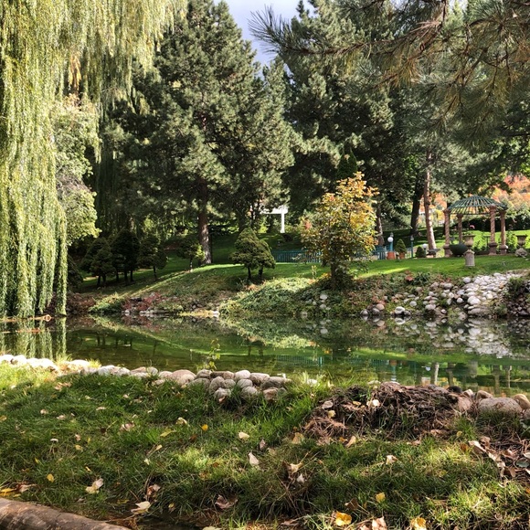 Meet your Posher, Evelyn - Picture 1 of 1